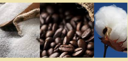Açúcar, café e algodão embalam exportações do agronegócio no ano 