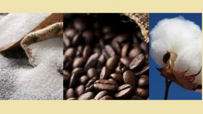 Açúcar, café e algodão embalam exportações do agronegócio no ano 