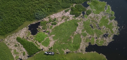 Usina é multada em R$ 18 mi por morte de peixes em rio de Piracicaba (SP)