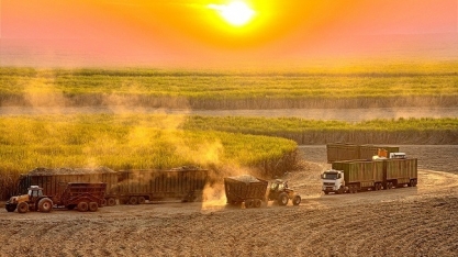 Centro-Sul processa 48,998 mi de t na 1ª quinzena/junho, alta de 20,48%