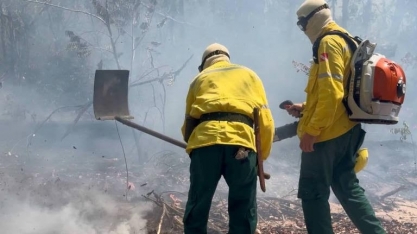 Amazônia vive recorde de incêndios em duas décadas
