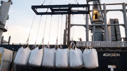 Entregas de açúcar bruto na ICE somam mais de 1 milhão de toneladas