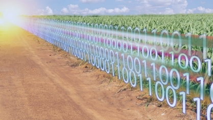 Tokenização global do agro é um mercado potencial de US$ 2,32 trilhões