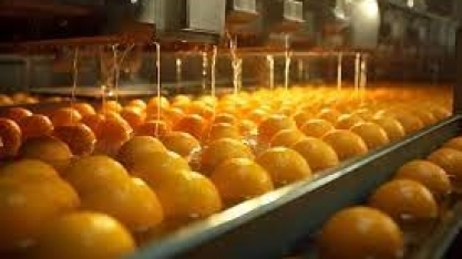 Laranja: Queda na produção do Brasil leva Argentina a investir no setor