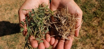 Mudanças climáticas já aumentam preços de alimentos e preocupam BCs