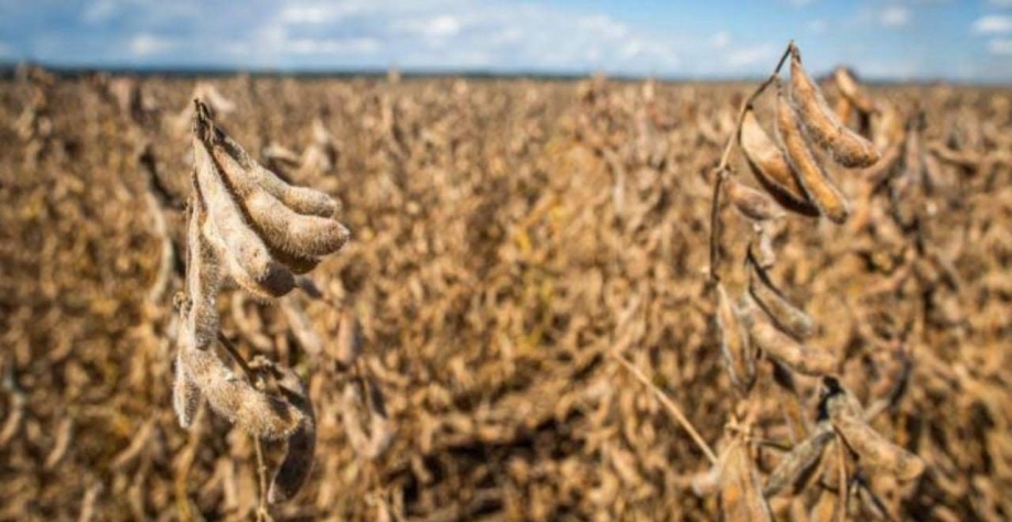 Agro questiona recursos para armazenagem, seguro e taxas acima da Selic