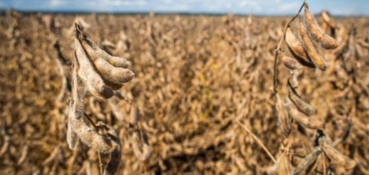 Agro questiona recursos para armazenagem, seguro e taxas acima da Selic