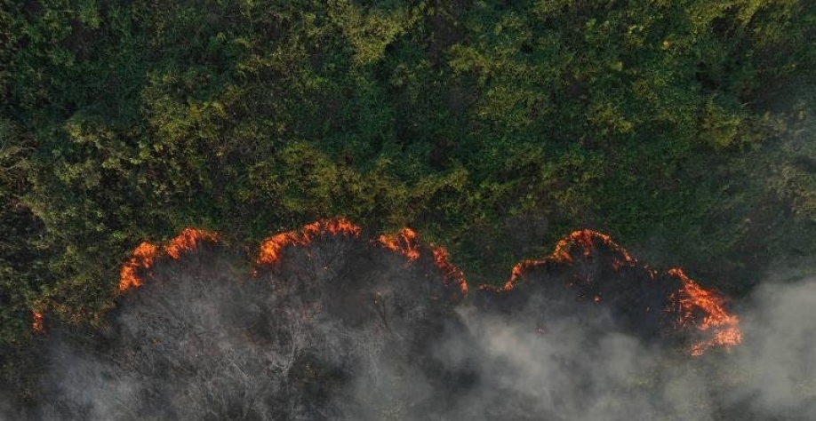 Área queimada no pantanal em 2024 já é 54% maior do que em 2020