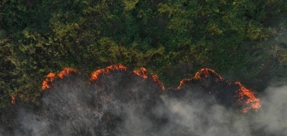 Área queimada no pantanal em 2024 já é 54% maior do que em 2020
