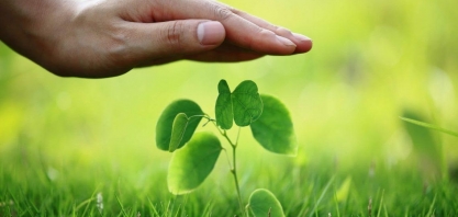 Entenda por que o seguro rural não foi prioridade no Plano Safra