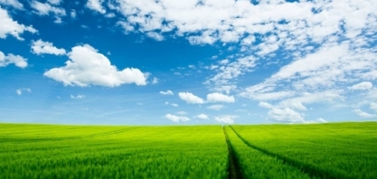  Cana/CTC: Produtividade em junho no Centro-Sul tem queda de 1,5% 