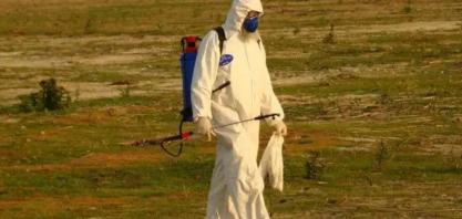 Newcastle: RS inicia barreira sanitária para conter foco da doença