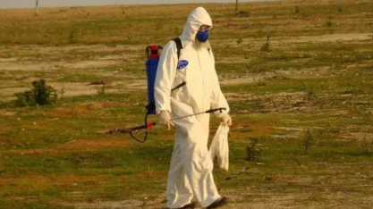 Newcastle: RS inicia barreira sanitária para conter foco da doença