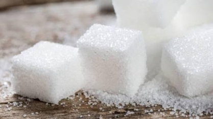 Produção de açúcar no Centro-Sul cresce 20% na 2ª quinzena de junho