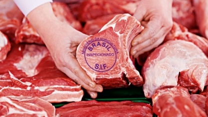 Carne bovina: Rebanho cresceu 30% e exportações 640% desde os anos 90