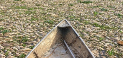 Órgão ambiental apura morte de toneladas de peixes em Piracicaba