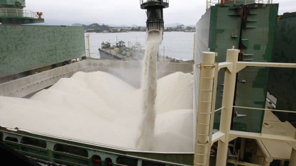 Açúcar: Exportação em julho cresce 28,5% em volume e 16% em receita