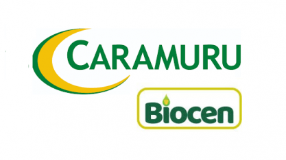 MT: Caramuru e Biocen anunciam construção de usina de milho