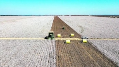 Desafios atuais do agro vão muito além da pesquisa e do financiamento        