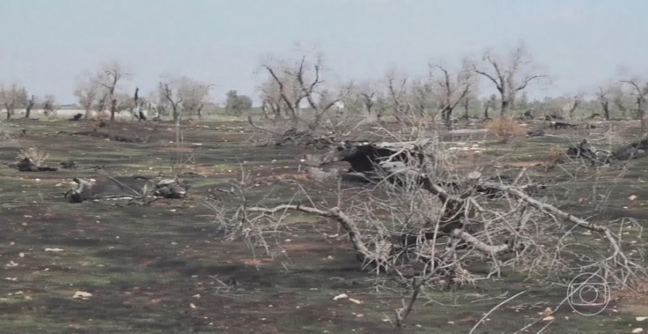 Eventos climáticos extremos dificultam produção agrícola no mundo