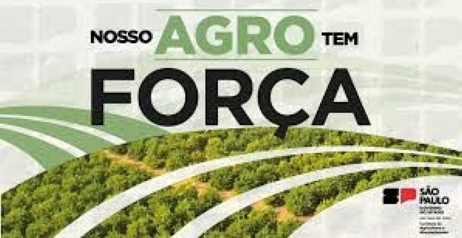 Agro/SP: Balanço do setor mostra superávit de 9,7% nos 7 meses do ano