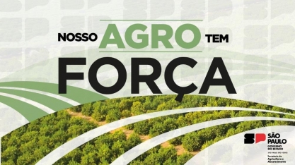 Agro/SP: Balanço do setor mostra superávit de 9,7% nos 7 meses do ano