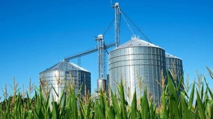 Produção de etanol de milho sobe 17,3% e de cana cai 4,1% nesta safra 