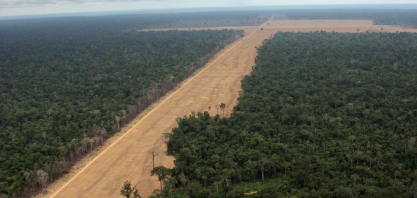 Desmatamento prejudica menos o clima do que outros tipos de degradação 