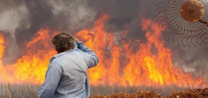 São Martinho e Raízen estimam impacto dos incêndios na produção de cana