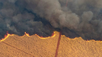 Incêndios em SP impactam preços do açúcar na bolsa de Nova York