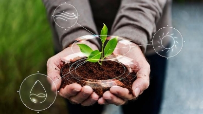 A resiliência climática da agricultura e a segurança alimentar