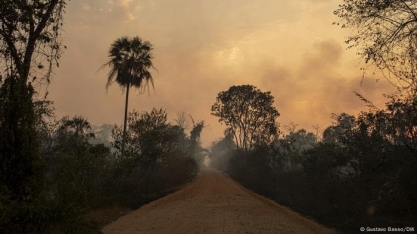 Fogo recorde no Pantanal foi agravado por mudança climática
