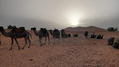 Chuva no deserto? Saara pode ter volumes 5 vezes acima da média