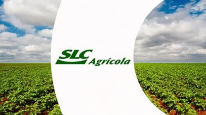Soja atrapalha e SLC Agrícola reporta queda no lucro do 2T24