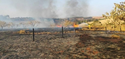 Tarcísio descarta ação articulada em incêndios; polícia investiga