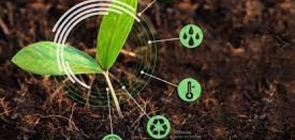 Pioneirismo brasileiro: os caminhos para uma agricultura sustentável