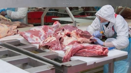 Carne bovina:Exportação em julho é recorde de 267.668 t,+ 21,6% ante junho