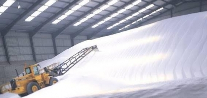 Açúcar: Produção no Centro-Sul deve cair 5,2% na 1ª quinzena de agosto