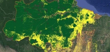 Expansão do agro e do extrativismo elevou emissão de CO2 no Brasil