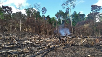 Desmatamento na amazônia em 12 meses é o menor da série histórica 