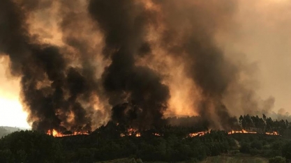 SP tem 76 mortes por síndrome respiratória aguda grave após incêndios