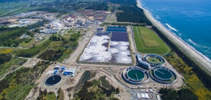 Arauco aprova fábrica de celulose de US$ 4,6 bilhões no Brasil