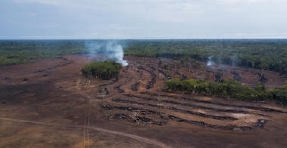 Brasil apela à UE para não aplicar lei antidesmate