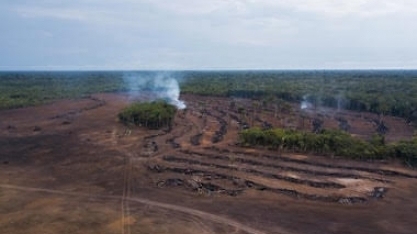 Brasil apela à UE para não aplicar lei antidesmate