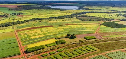 CNA:  VBP da agropecuária deve recuar 3,2% neste ano, para R$ 1,2 trilhão