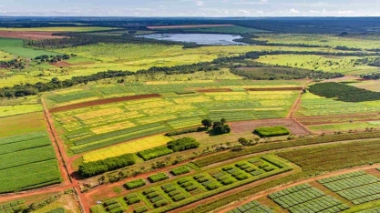 CNA:  VBP da agropecuária deve recuar 3,2% neste ano, para R$ 1,2 trilhão