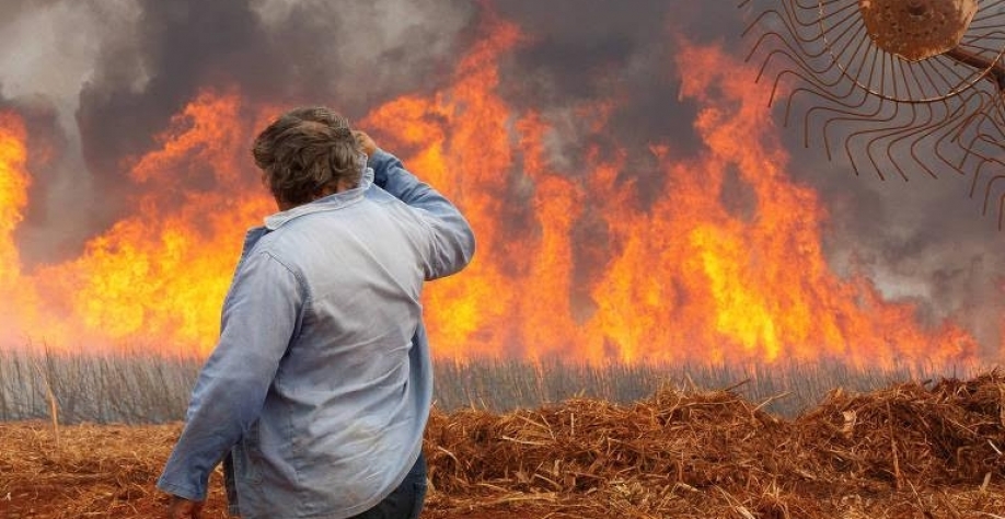 Pior seca em 40 anos coloca principais safras do Brasil em risco