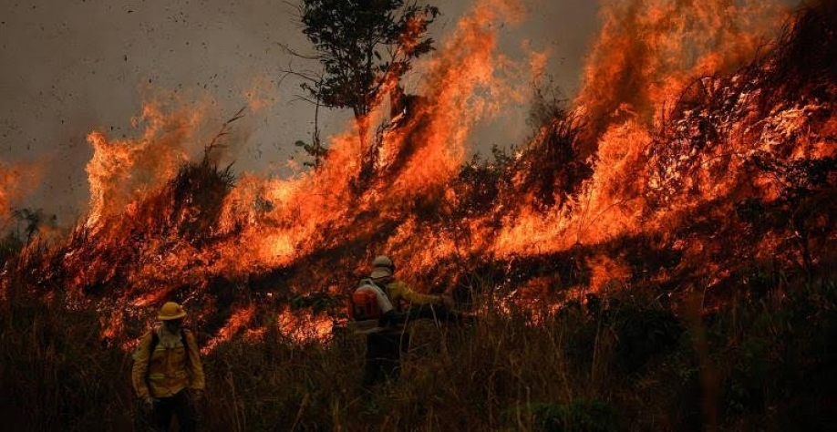 Incêndios na amazônia em agosto atingem maior nível em 14 anos