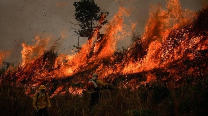 Incêndios na amazônia em agosto atingem maior nível em 14 anos
