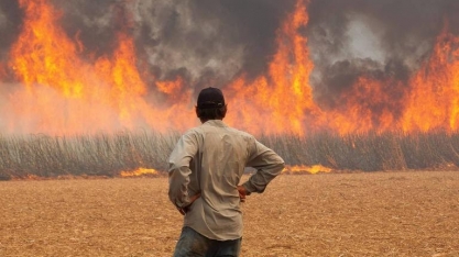 Agronegócio estima prejuízo de R$ 14,7 bilhões com incêndios